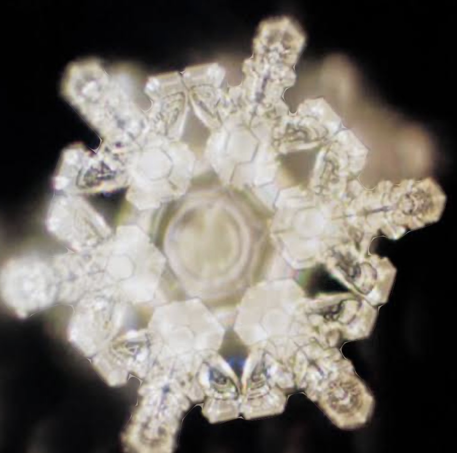 Close-up microscope photograph of a single water crystal with delicate symmetrical patterns.