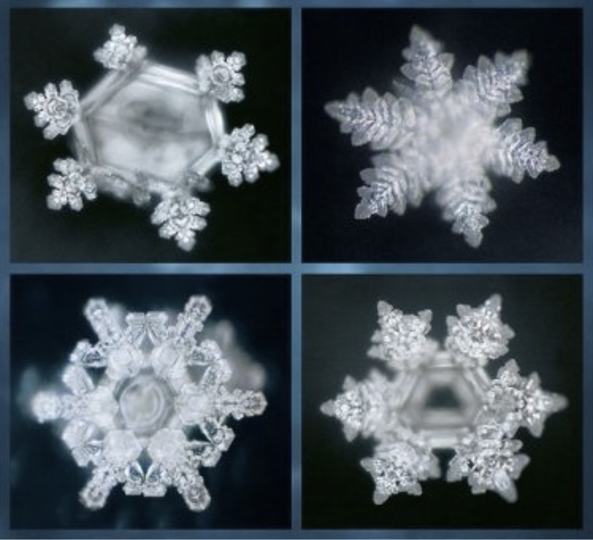 Grid of four microscope photographs of water crystals with intricate hexagonal structures.